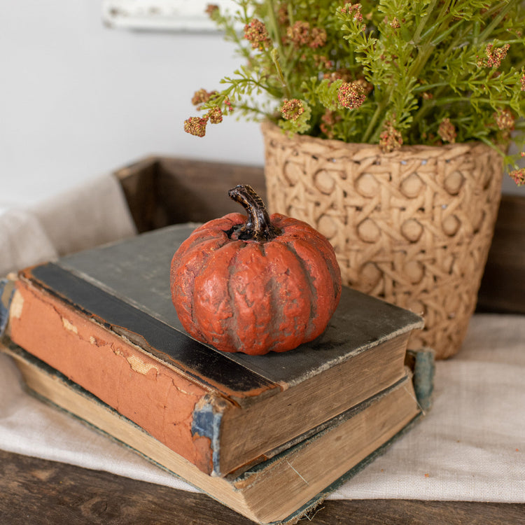 Fall Pumpkins and Gourds