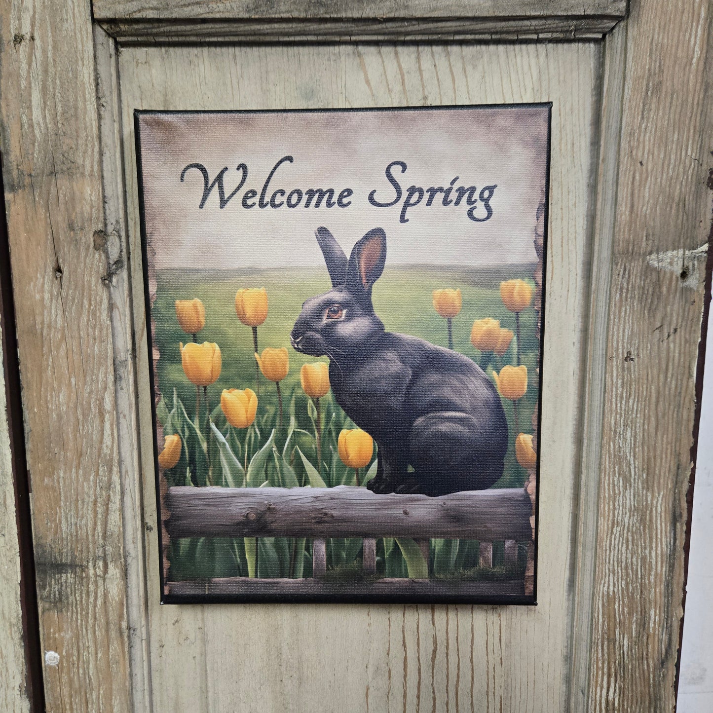 Welcome Spring Black Bunny with Tulips Canvas Print