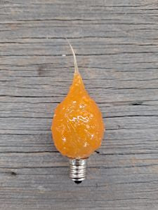 Silicone Scented Bulb (4Watt) - Autumn Harvest
