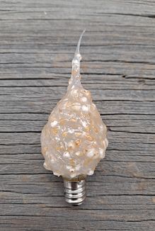 Silicone Scented Bulb (4Watt) - Cappucino