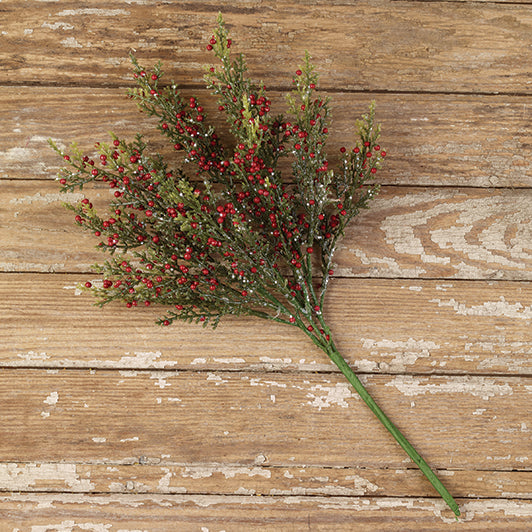 Mini Berry/Cedar Bush