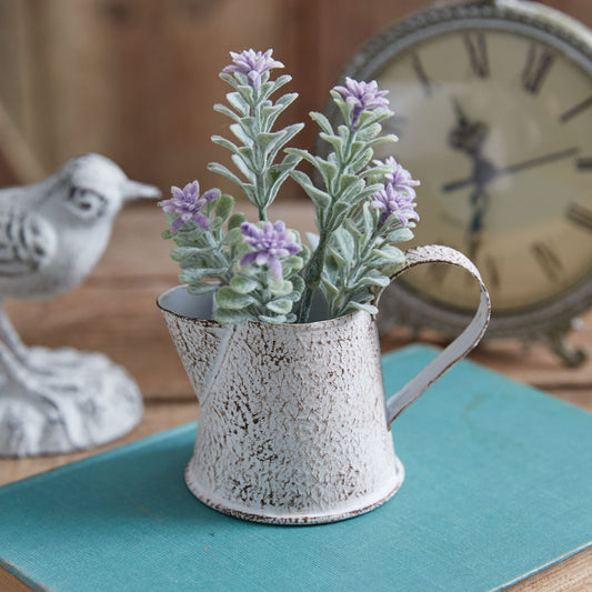 Sadie Miniature Pitcher