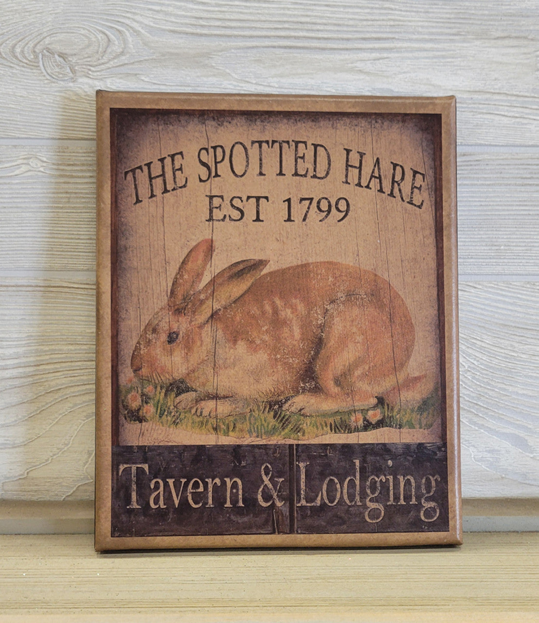 8X10 Spotted Hare Canvas Print