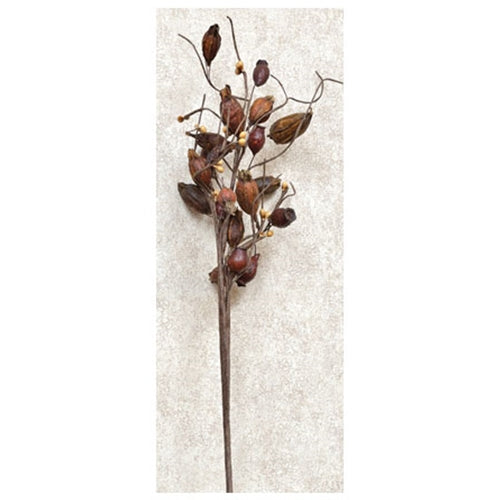 Dried Rose Hip Pick