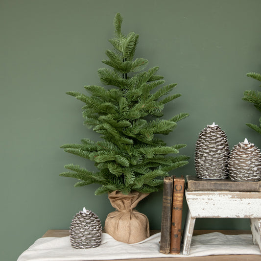 26" PINE TREE W/ TIED BURLAP BASE