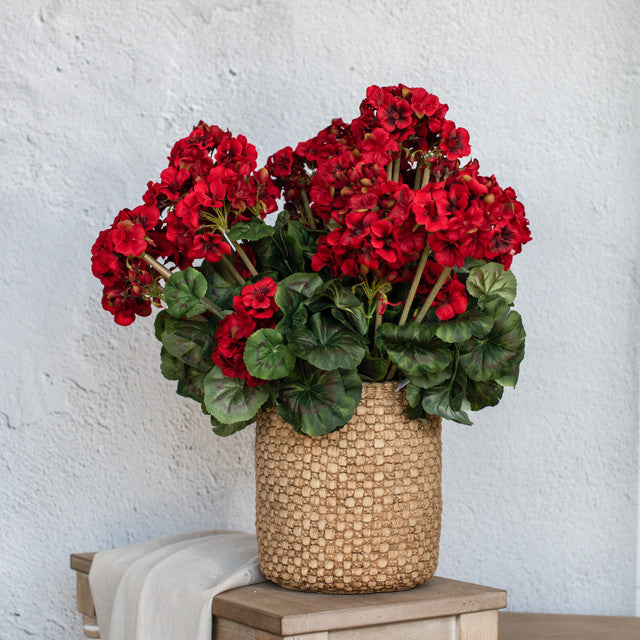 19.5" RED GERANIUM BUSH