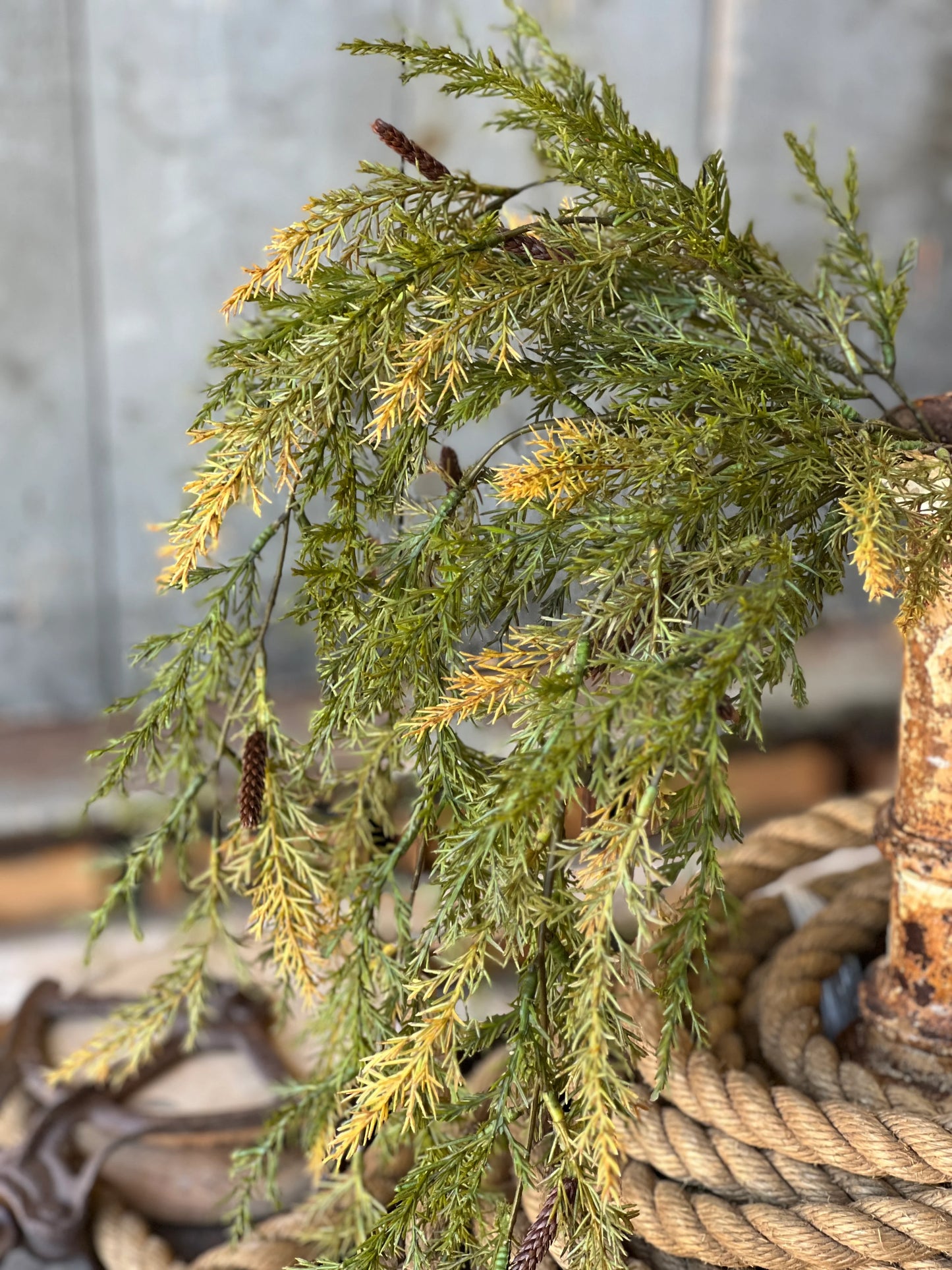 Prickly Pine Hanging | Moss | 33"