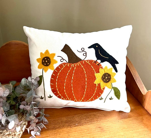 PUMPKIN W/CROW PILLOW