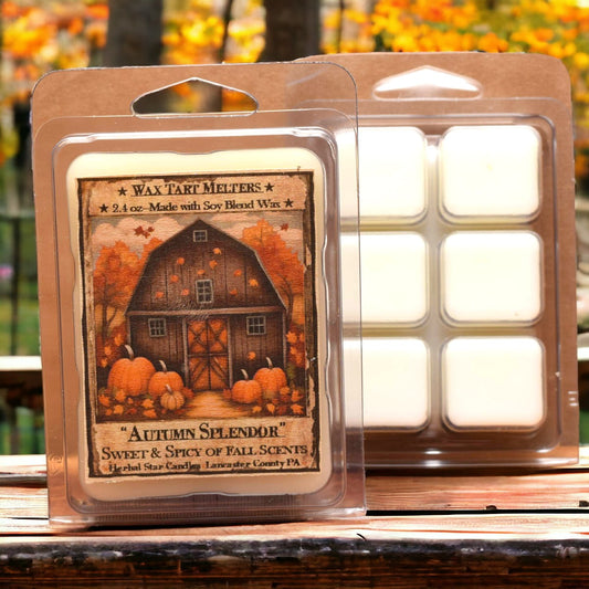 Autumn Splendor 2.4 oz Mini Pack of 6 Tarts