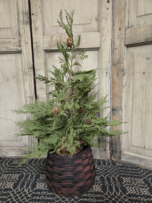 Primitive Tree Collar Small Burgundy